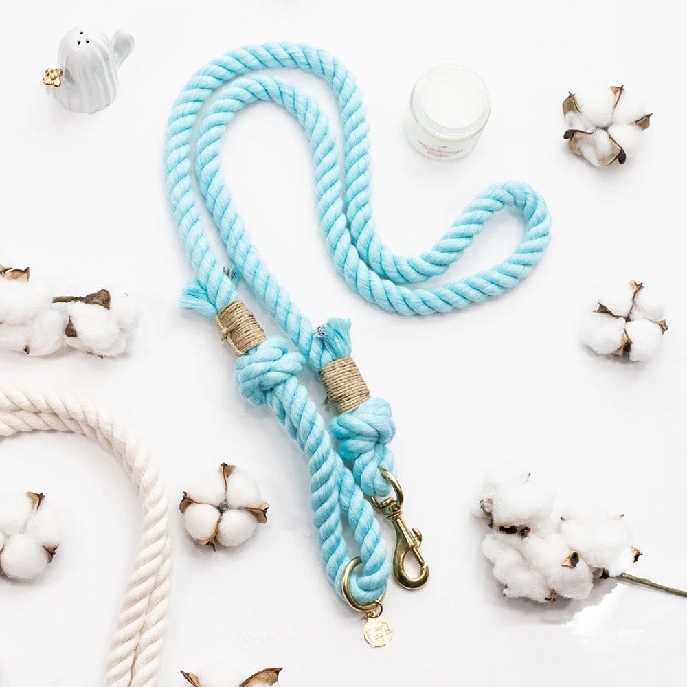 Rope Leash - Dust