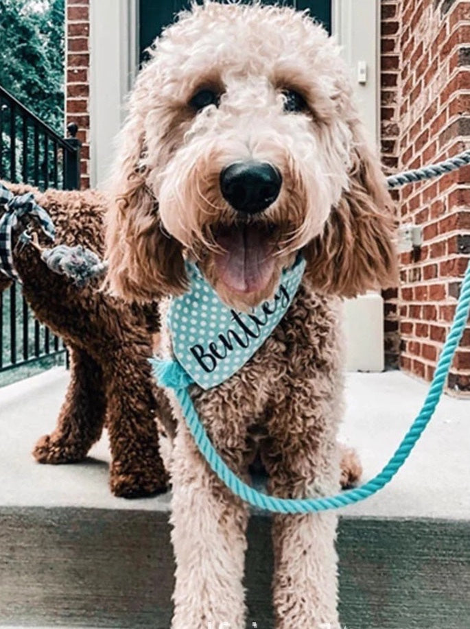 Rope Leash - Dust