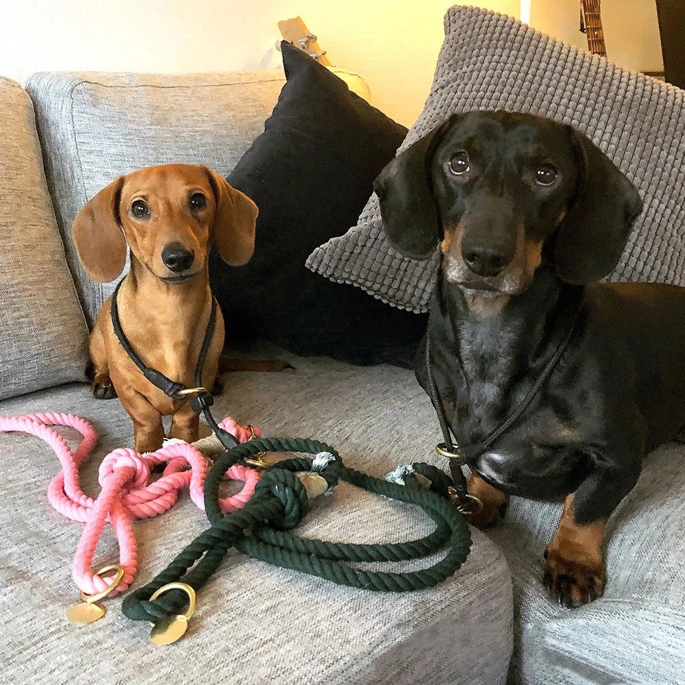 Rope Leash - Dust