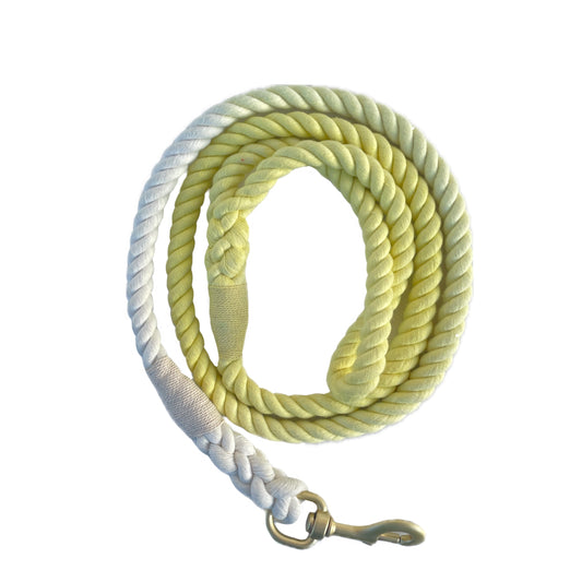 Rope Leash - Yellow & White