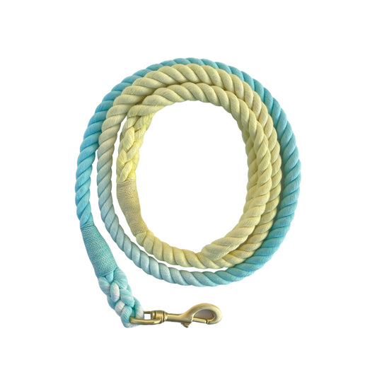 Rope Leash - Yellow & Tail