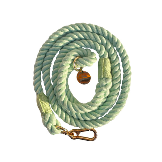 Rope Leash - Light Green
