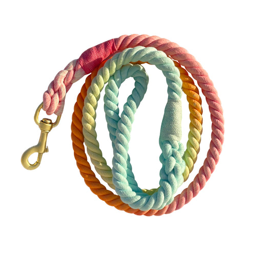 Rope Leash - Orange Rainbow