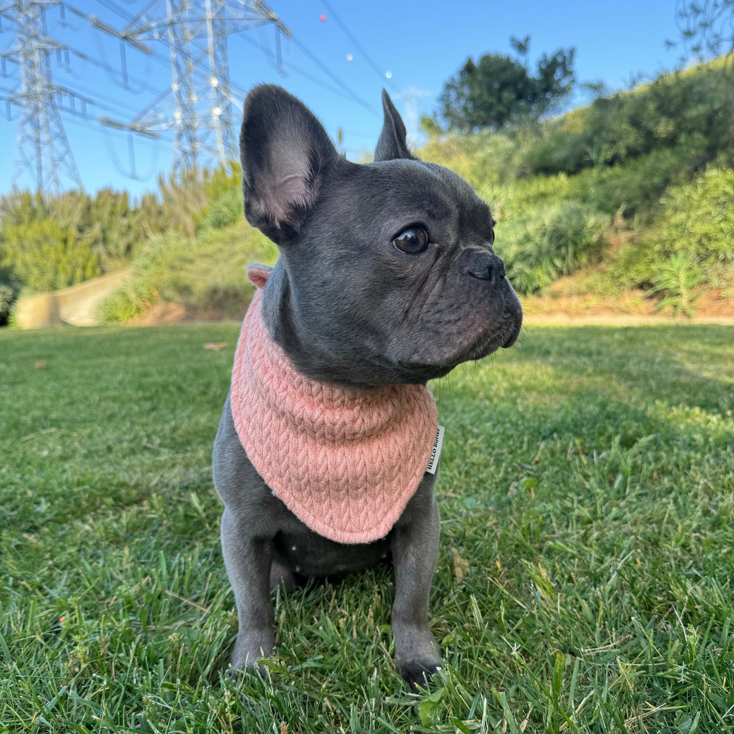 Bandana - REVERSIBLE Pink&Grey Sweater Rib Knit Fabric