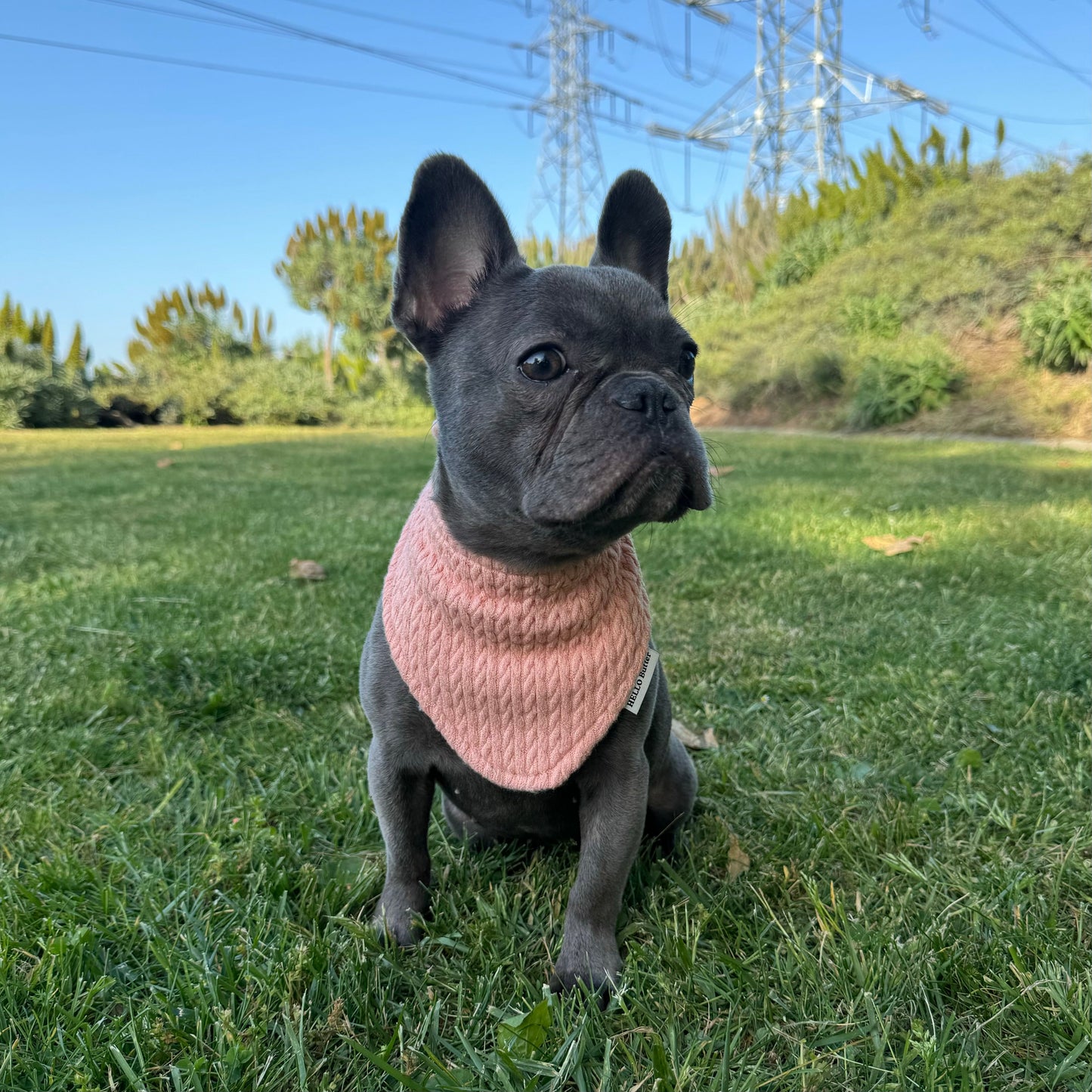 Bandana - REVERSIBLE Pink&Grey Sweater Rib Knit Fabric