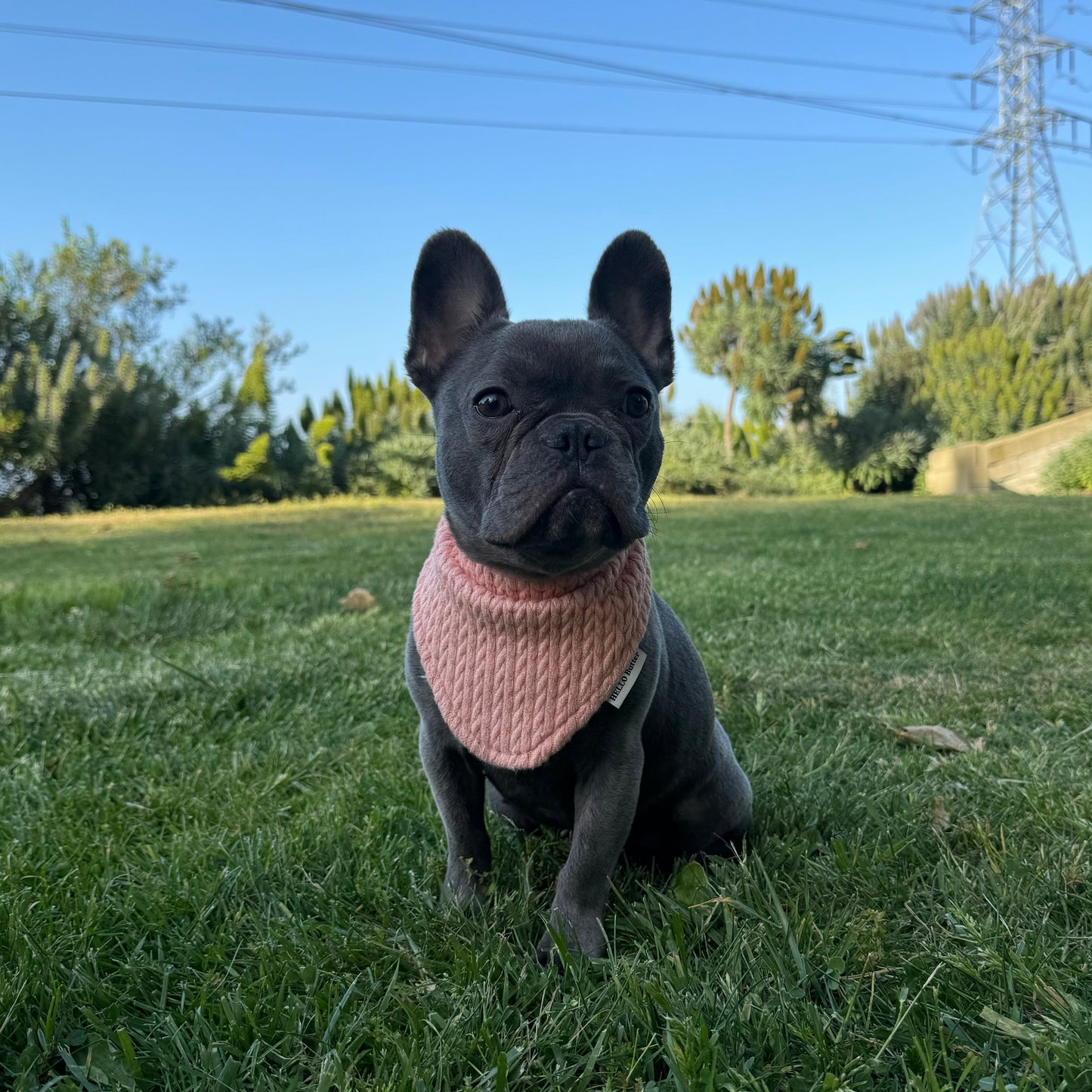 Bandana - REVERSIBLE Pink&Grey Sweater Rib Knit Fabric