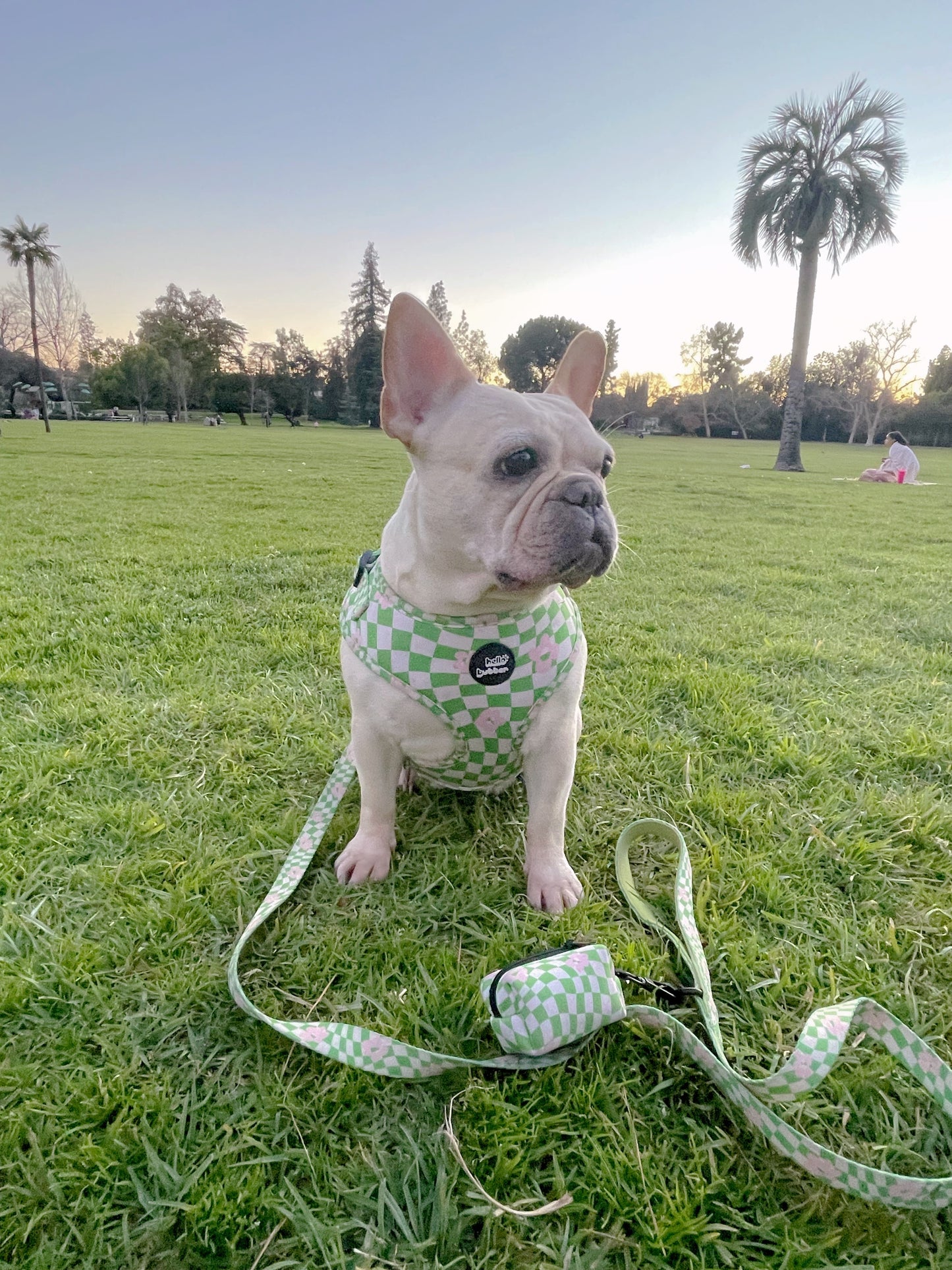 Green Wave Checker -Leash